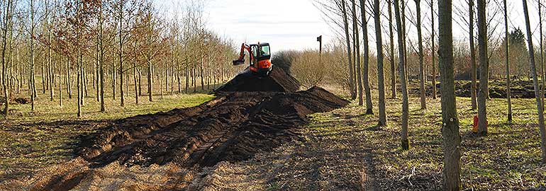 Creating an avenue of trees to join woodland glades.