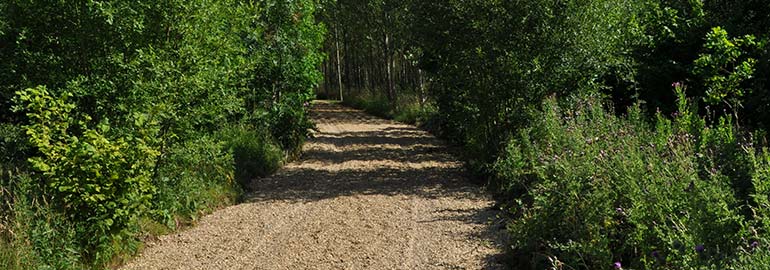 Creating a new road into the heart of the woodland.